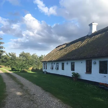 Oster Mogensbaek #4 Sindal